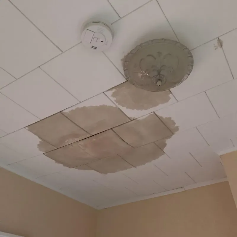 Ceiling Water Damage Repair in Coldwater, OH