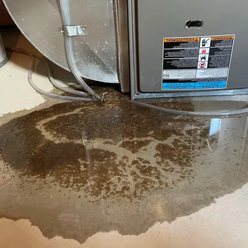 Pipe Burst and Leak Restoration in Coldwater, OH